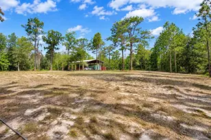 419 Lily Trail, Interlachen, FL 32148 - Photo 5