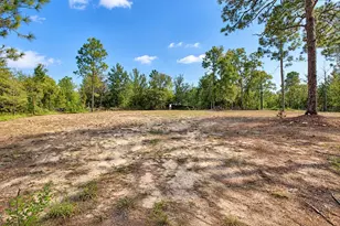 419 Lily Trail, Interlachen, FL 32148 - Photo 43
