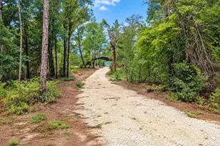 419 Lily Trail, Interlachen, FL 32148 - Photo 41