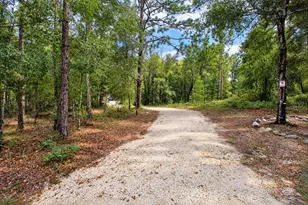 419 Lily Trail, Interlachen, FL 32148 - Photo 41
