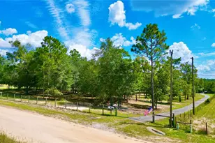 104 Silver Dollar Dr, Hawthorne, FL 32640 - Photo 33