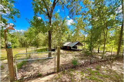 104 Silver Dollar Drive, Hawthorne, FL 32640 - Photo 25