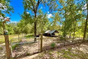 104 Silver Dollar Dr, Hawthorne, FL 32640 - Photo 25