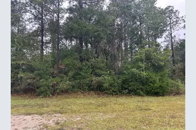 Tbd NE 77th Court, Bronson, FL 32621 - Photo 1
