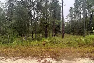 Tbd NE 111th Ln, Bronson, FL 32621 - Photo 1