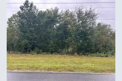 Tbd NE 110th Street, Bronson, FL 32621 - Photo 1