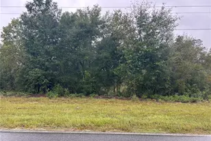 Tbd NE 110th St, Bronson, FL 32621 - Photo 1