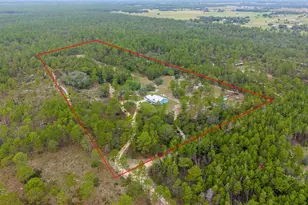 1730 NE 120th Ave, Williston, FL 32696 - Photo 65
