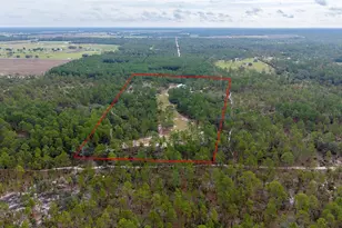1730 NE 120th Ave, Williston, FL 32696 - Photo 67