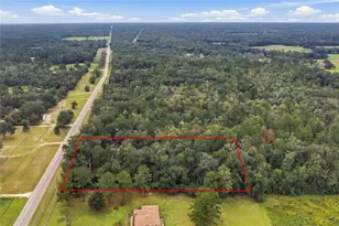 16414 N County Road 225, Gainesville, FL 32609 - Photo 5
