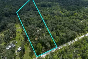 551 NE 354th Ave, Old Town, FL 32680 - Photo 63