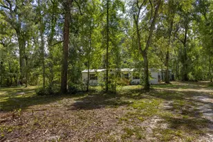 551 NE 354th Ave, Old Town, FL 32680 - Photo 55