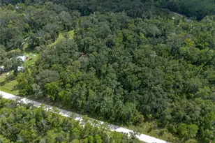 551 NE 354th Ave, Old Town, FL 32680 - Photo 65