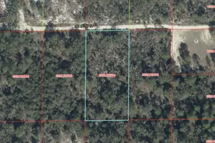 0000 NE 86th St, Bronson, FL 32621 - Photo 1