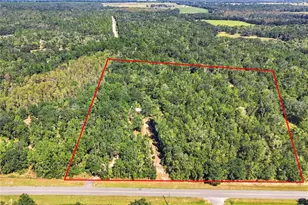 3877 SW Herlong St, Fort White, FL 32038 - Photo 3