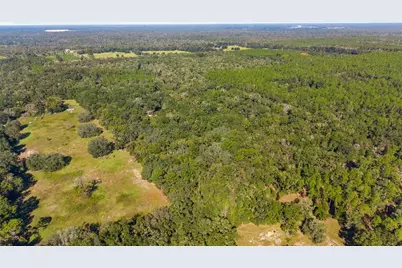 2390 NW 65th Avenue, Bell, FL 32619 - Photo 35