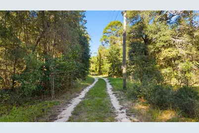 2390 NW 65th Avenue, Bell, FL 32619 - Photo 31