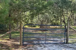 6035 Oak Leaf Rd, Keystone Heights, FL 32656 - Photo 39