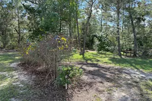 6035 Oak Leaf Rd, Keystone Heights, FL 32656 - Photo 43