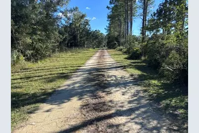 Lot 6 SW 105 Avenue, Cedar Key, FL 32625 - Photo 3