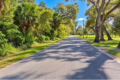 Ne 399th Street, Old Town, FL 32680 - Photo 3