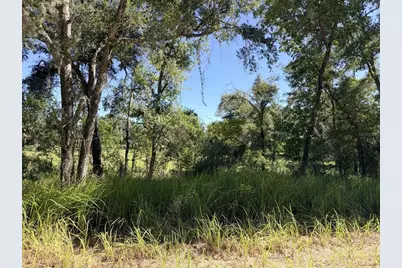 4251 NW 100th Avenue, Chiefland, FL 32626 - Photo 19