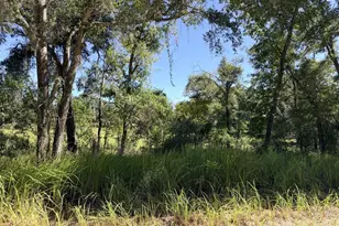 4251 NW 100 Ave, Chiefland, FL 32626 - Photo 19