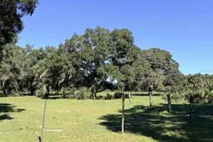 4251 NW 100 Ave, Chiefland, FL 32626 - Photo 17