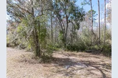 375 NW Lamar Place, Lake City, FL 32055 - Photo 3