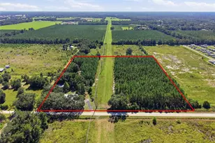 4550 NW 110th St, Chiefland, FL 32626 - Photo 45
