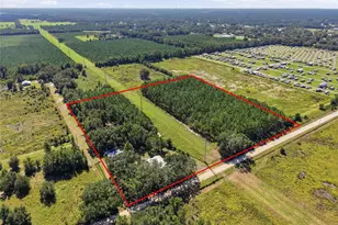 4550 NW 110th St, Chiefland, FL 32626 - Photo 3