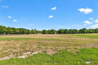 3954 NW 31st Avenue, Bell, FL 32619 - Photo 9
