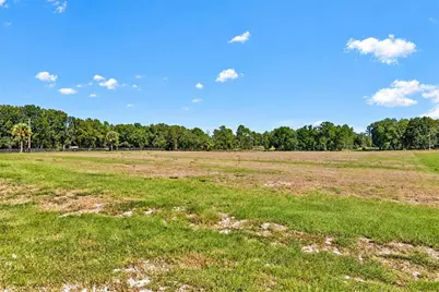 3954 NW 31st Avenue, Bell, FL 32619 - Photo 7