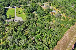 3228 SW Wilson Springs Rd, Fort White, FL 32038 - Photo 19