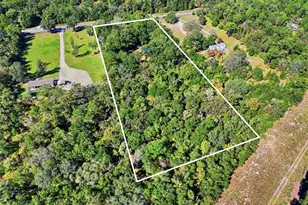 3228 SW Wilson Springs Rd, Fort White, FL 32038 - Photo 3