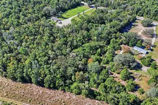 3228 SW Wilson Springs Rd, Fort White, FL 32038 - Photo 21