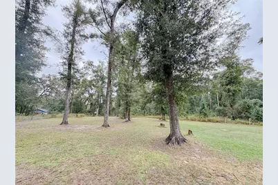 6530 NW 38th Place, Bell, FL 32619 - Photo 17