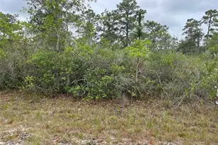 0 Bougainvillea Dr, Indian Lake Estates, FL 33855 - Photo 1