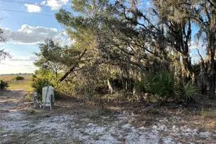 4020 Gasden St, Lake Wales, FL 33859 - Photo 5