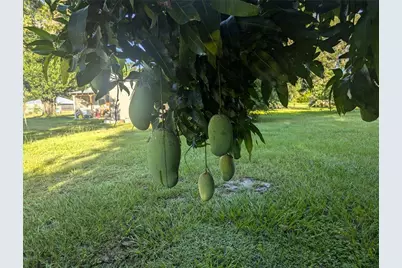 0 S Perry Avenue, Fort Meade, FL 33841 - Photo 7