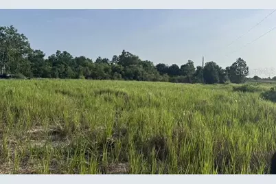 7710 N Lake Buffum Road, Fort Meade, FL 33841 - Photo 5