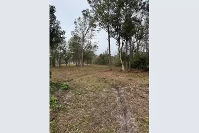 W Frostproof Road, Frostproof, FL 33843 - Photo 3
