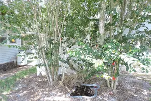 2530 Snapping Turtle Dr, Lake Wales, FL 33898 - Photo 31