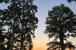 2901 Kayworth Rd, Lake Wales, FL 33898 - Photo 3