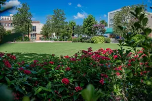 929 Carlton Ave, Lake Wales, FL 33853 - Photo 83