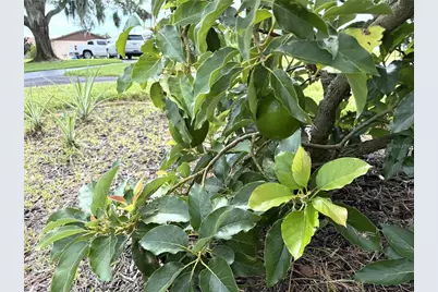 823 N Lake Reedy Boulevard, Frostproof, FL 33843 - Photo 35