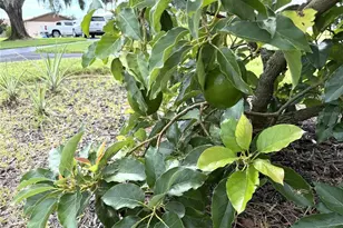 823 N Lake Reedy Blvd, Frostproof, FL 33843 - Photo 35