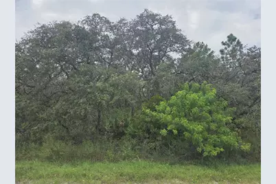 2912 Sand Pine Trail, Frostproof, FL 33843 - Photo 5