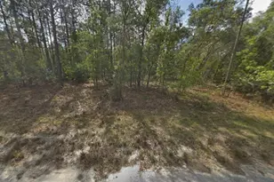 Resort Ave, Weeki Wachee, FL 34614 - Photo 1