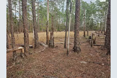 Chinaberry Street, Eustis, FL 32736 - Photo 1